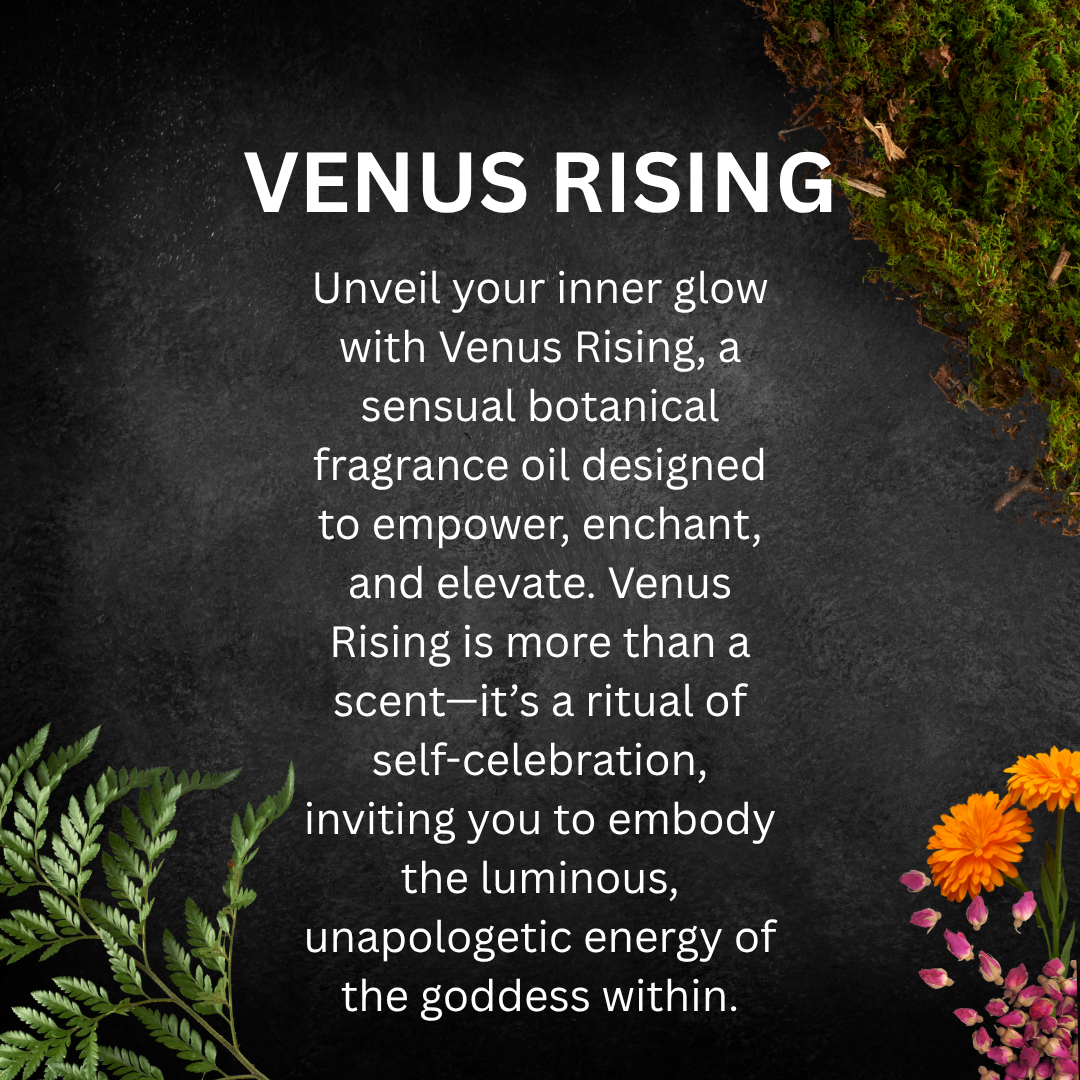 Venus Rising: Fragrance OIl