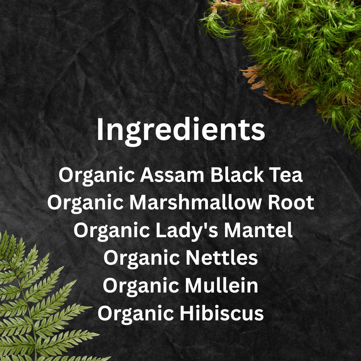 Medusa: Goddess Embodiment Series