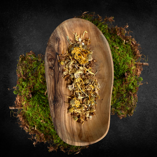 The Cosmic Apothecary: Sunlit Alchemy